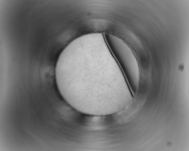 X0000103140184200809192014
