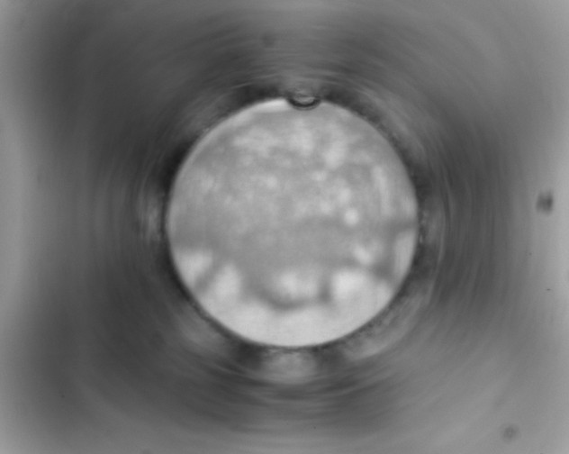 X0000103140185200809192014