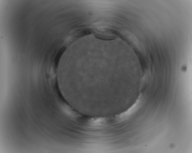 X0000103140186200809192014