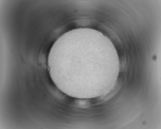 X0000103140187200809192014