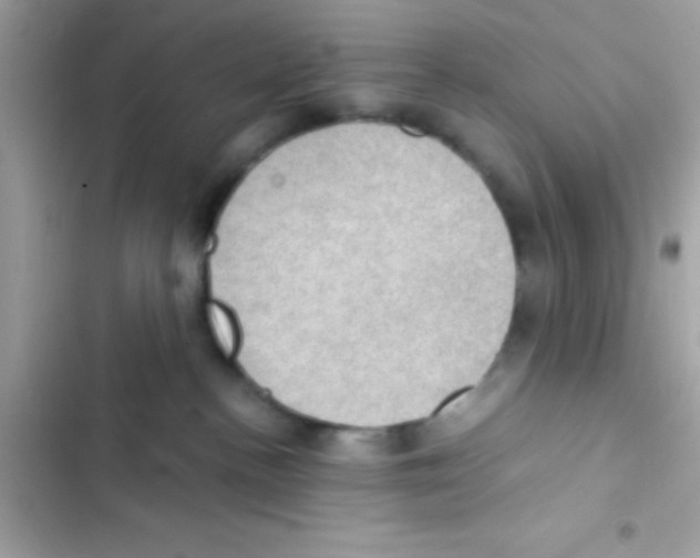 X0000103140188200809192014