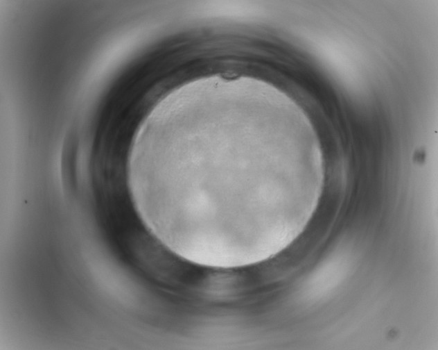 X0000103140189200809192014