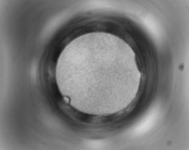 X0000103140190200809192014