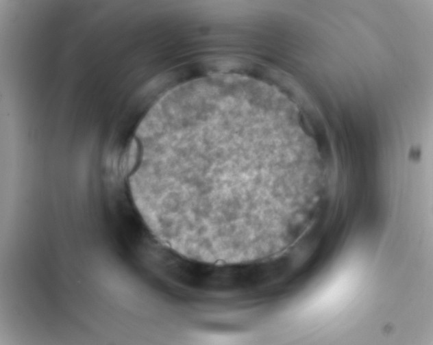 X0000103140191200809192014