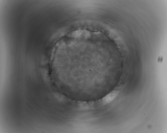 X0000103140192200809192014