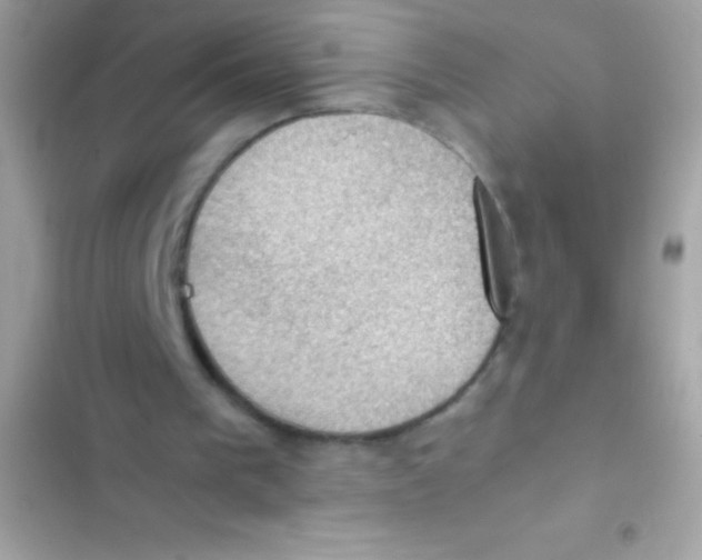 X0000103140193200809192013