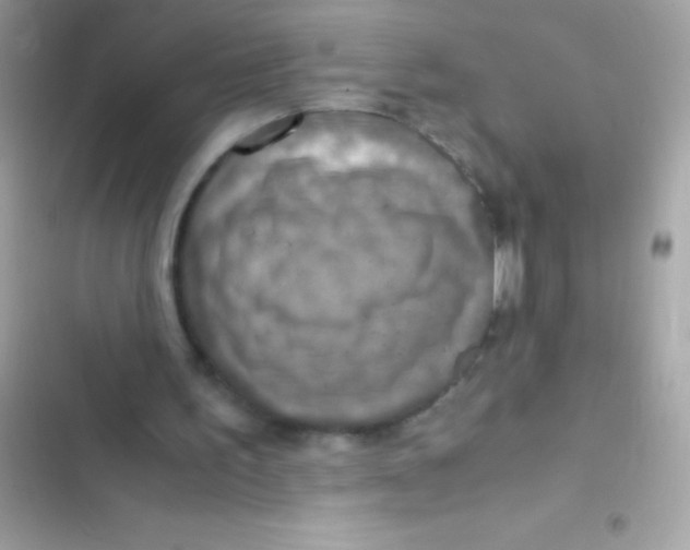 X0000103140195200809192013
