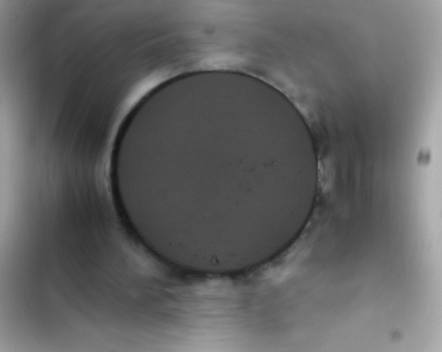 X0000103140196200809192013