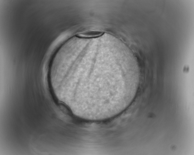 X0000103140197200809192013