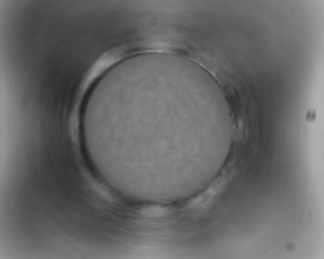 X0000103140198200809192013