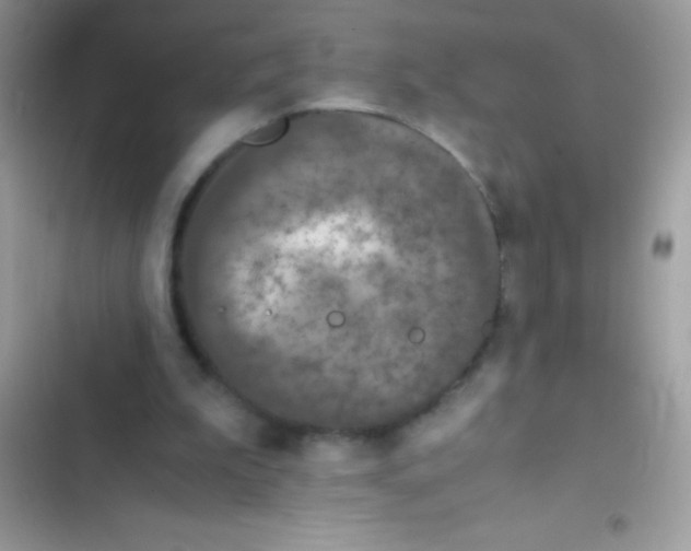 X0000103140199200809192013