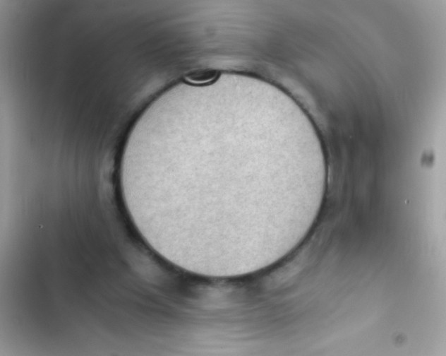 X0000103140201200809192013