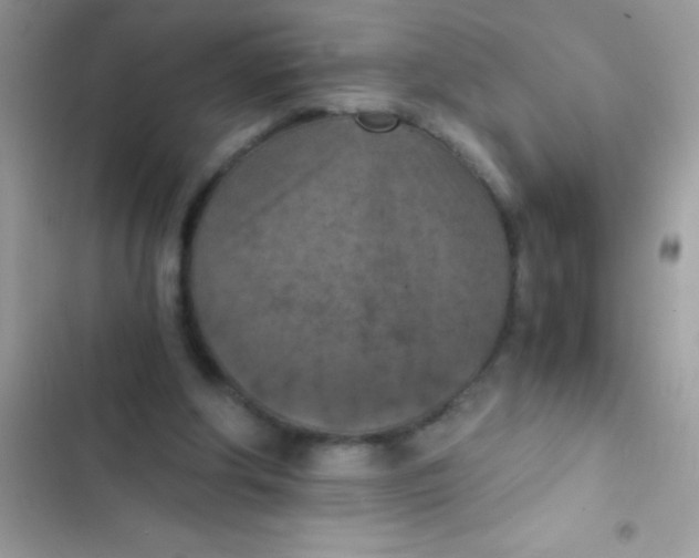 X0000103140202200809192013