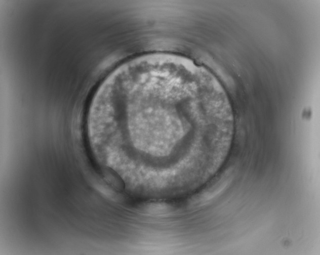 X0000103140203200809192013