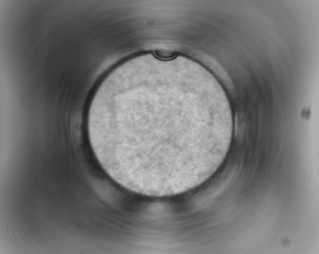 X0000103140204200809192013
