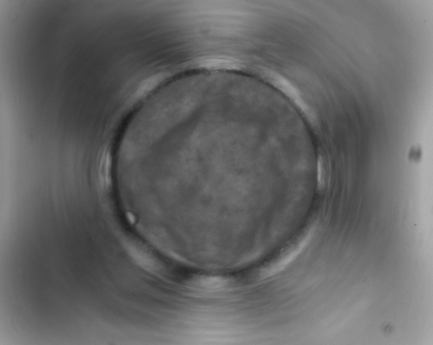 X0000103140205200809192013