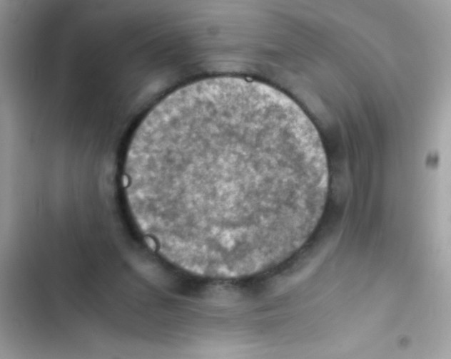 X0000103140207200809192013