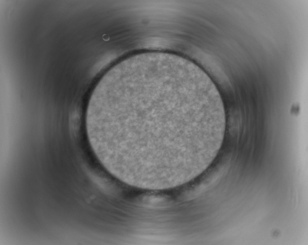 X0000103140208200809192013
