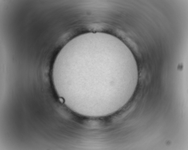 X0000103140209200809192013