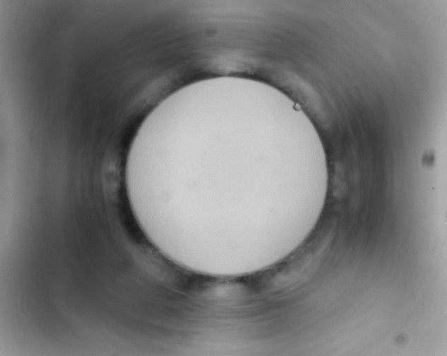 X0000103140210200809192013