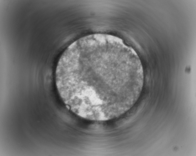 X0000103140211200809192013