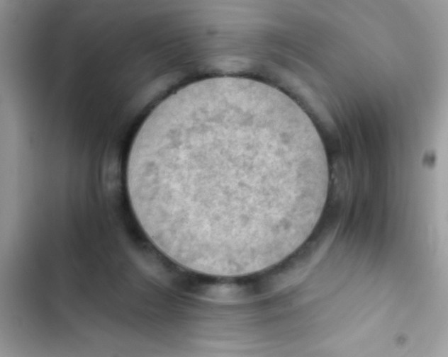 X0000103140212200809192013