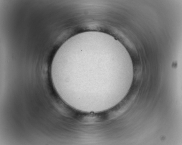 X0000103140213200809192013