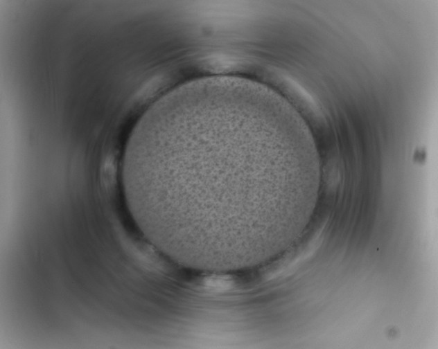 X0000103140214200809192013