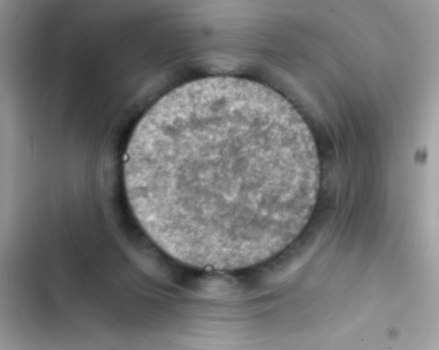 X0000103140215200809192013