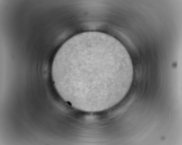 X0000103140216200809192013