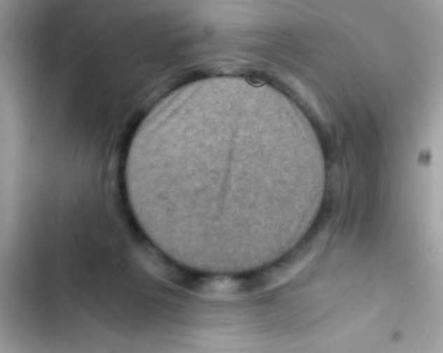 X0000103140217200809192012