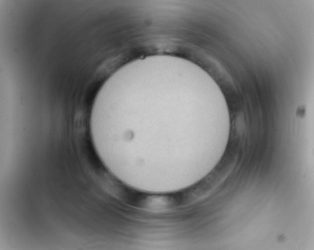 X0000103140218200809192012