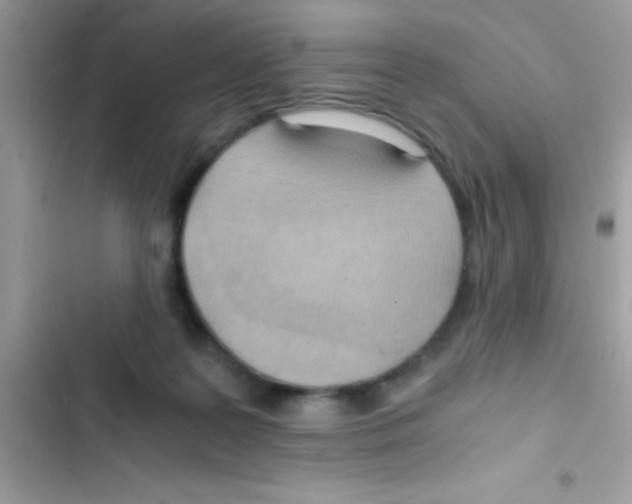 X0000103140219200809192012