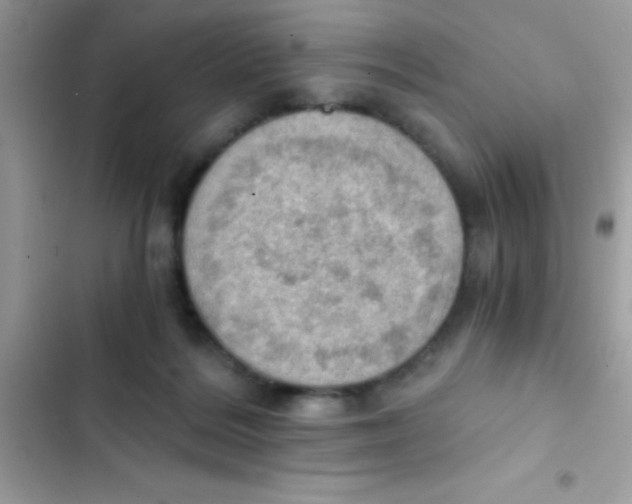 X0000103140220200809192012