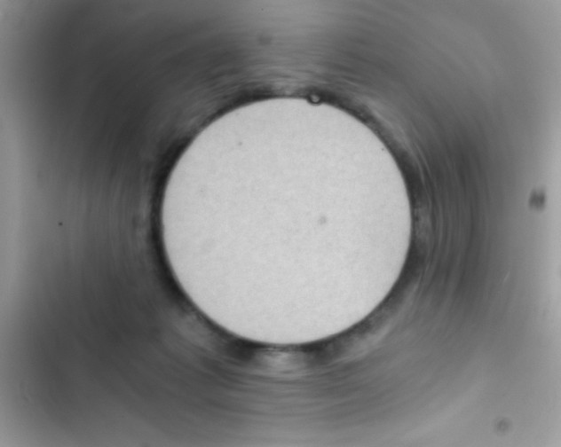 X0000103140221200809192012