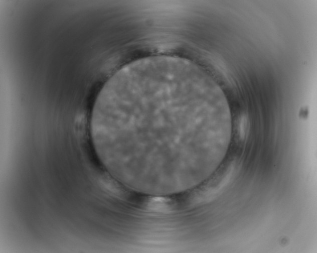 X0000103140222200809192012