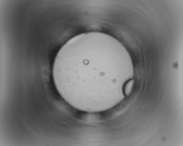 X0000103140223200809192012