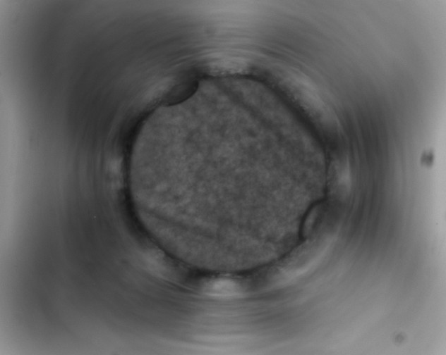 X0000103140224200809192012