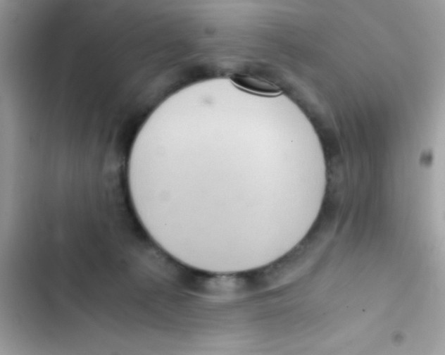 X0000103140225200809192012