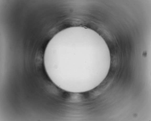 X0000103140226200809192012