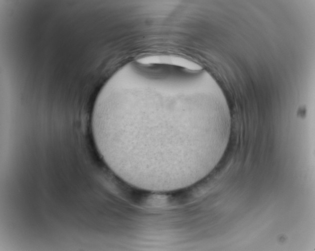 X0000103140227200809192012