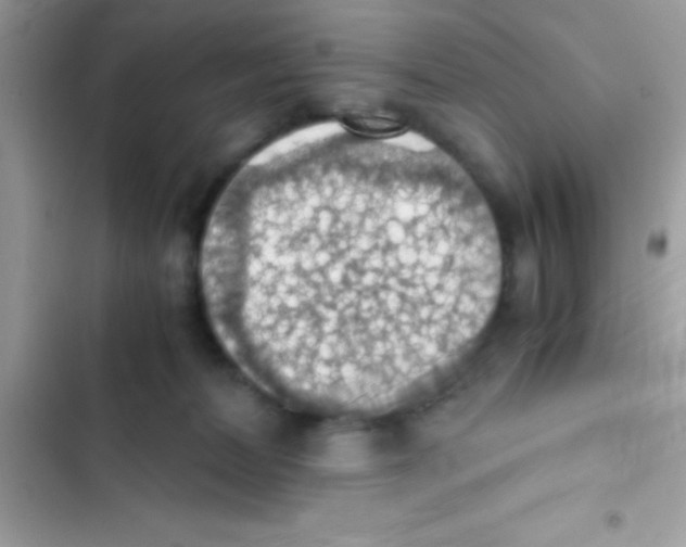 X0000103140228200809192012