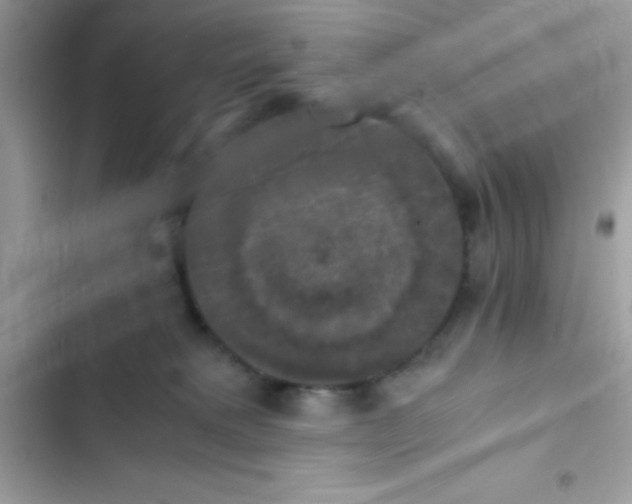 X0000103140229200809192012