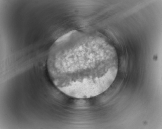 X0000103140230200809192012