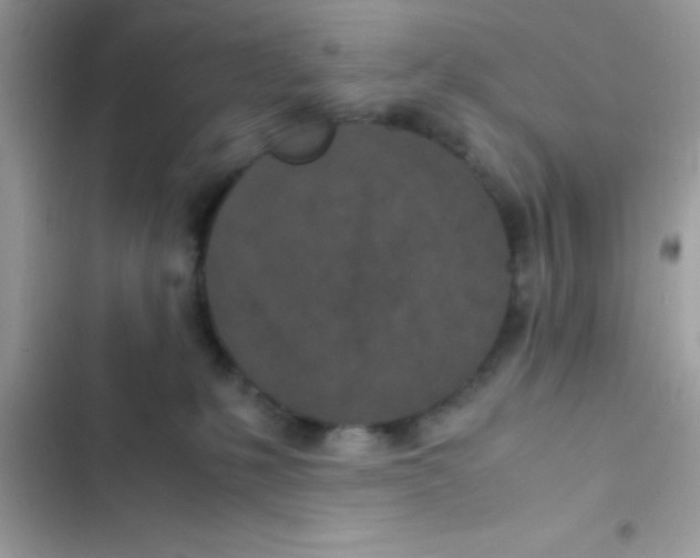 X0000103140231200809192012