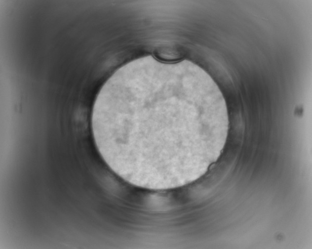 X0000103140232200809192012