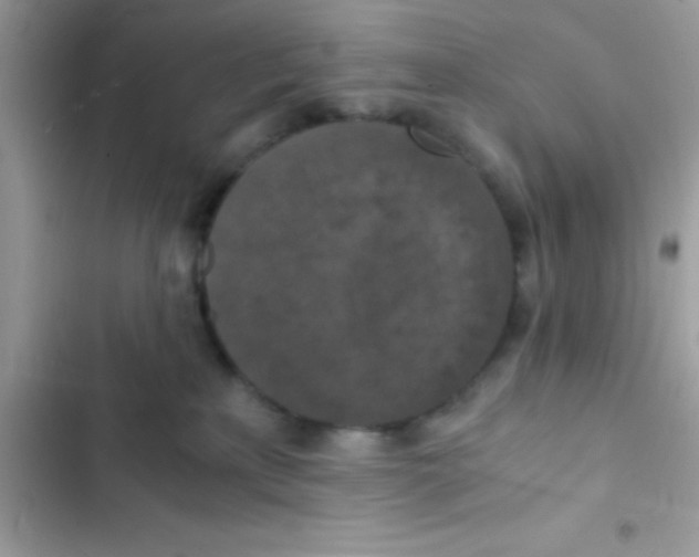 X0000103140233200809192012