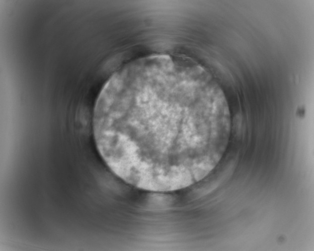 X0000103140234200809192012