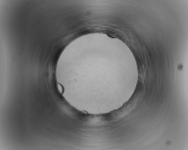 X0000103140235200809192012