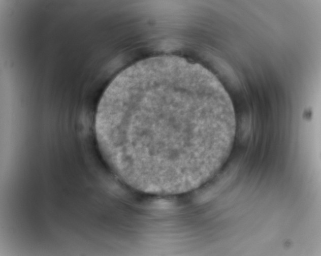 X0000103140236200809192012